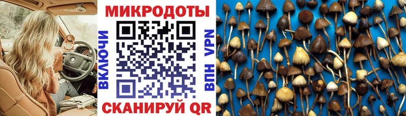 Галлюциногенные грибы GOLDEN TEACHER  наркота  Монино 